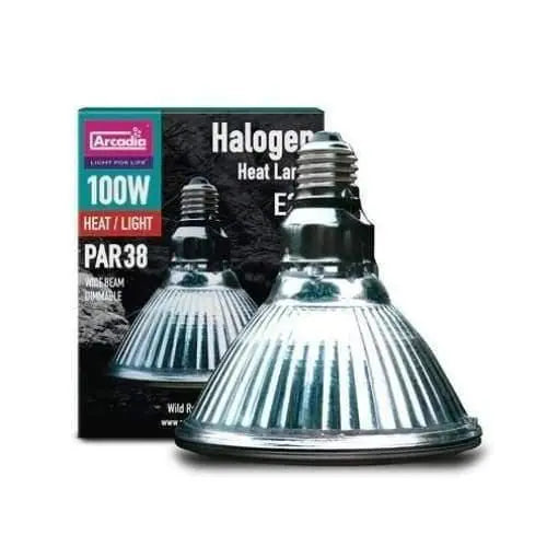 Arcadia 110V Halogen Light Bulbs and High-Intensity Heat Lamp for Reptile Lighting