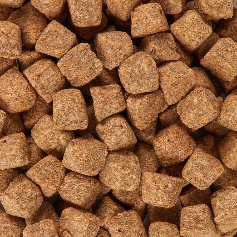 Aqueon Stick'ems Freeze-Dried Treats for Freshwater and Marine Fish - Premium Brine and Mysis Shrimp Fish Food