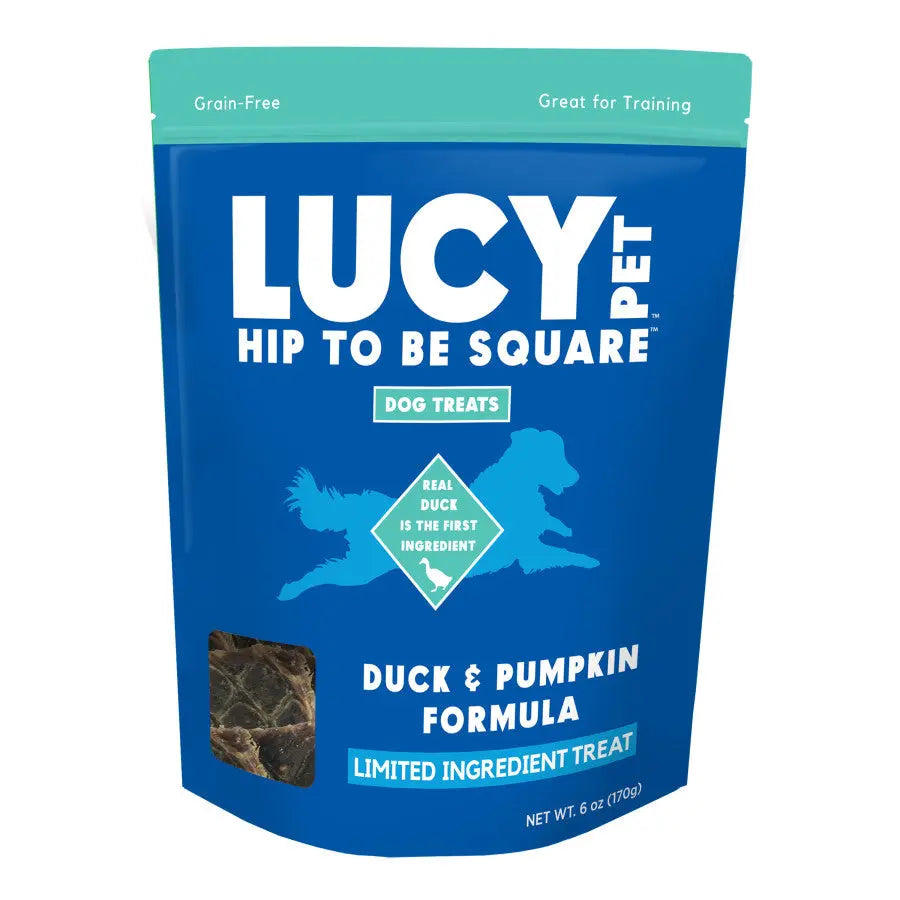 Lucy Pet Products High - Quality Limited Ingredient Salmon & Pumpkin Dog Treats
