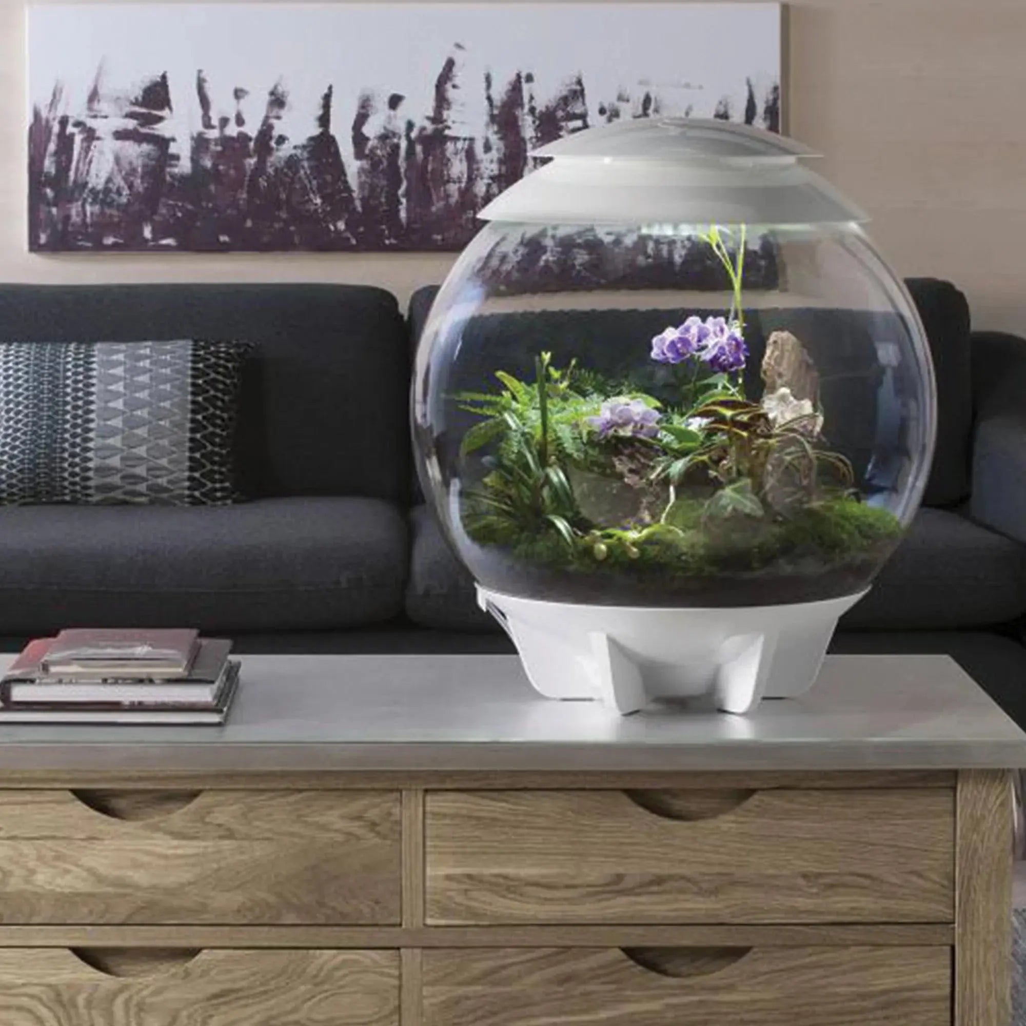 BiOrb AIR 60 Modern Glossy Terrarium for Tropical Plants and Creatures