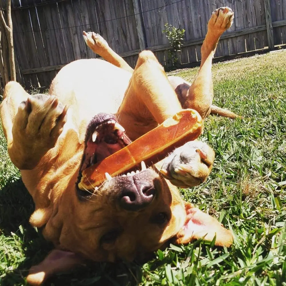 Healthy and Long - lasting Yak Milk Dog Chews as Tasty Treats
