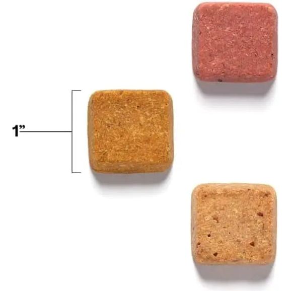 Wild Earth Premium Superfood Vegan Dog Training Treats Infused with Koji and Creamy Peanut Butter