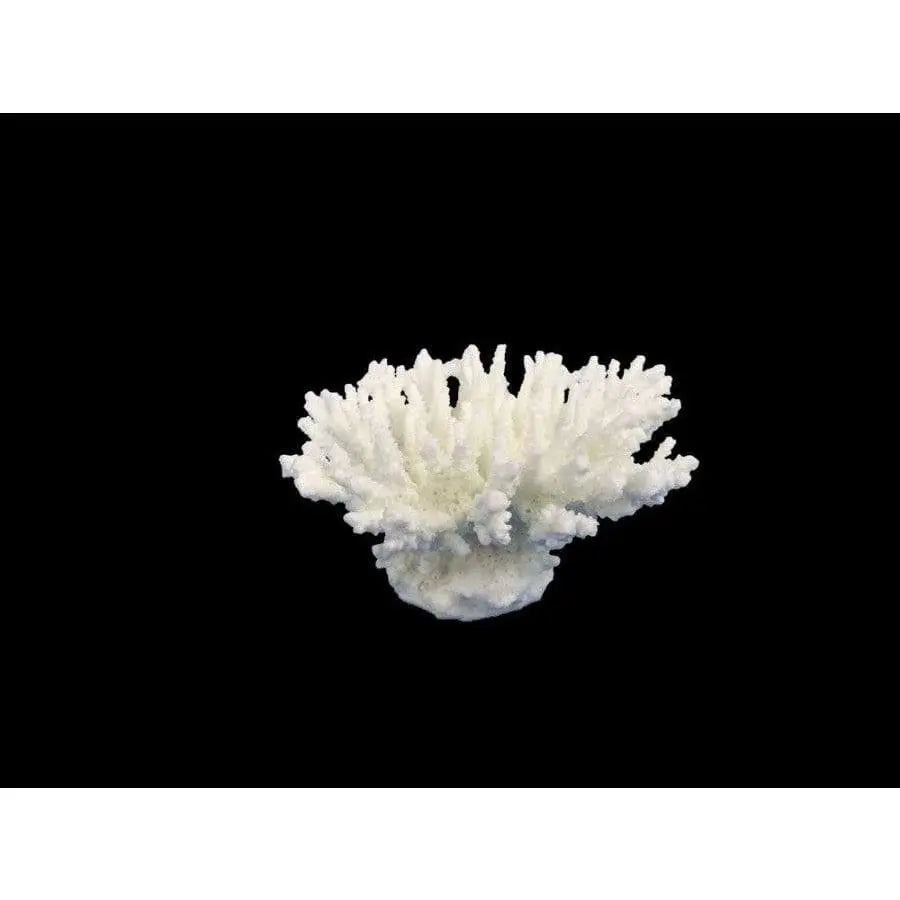 Weco South Pacific Bendable Coral Tabletop Decorative Ornament