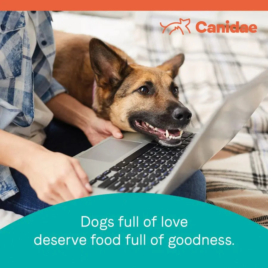 CANIDAE PURE Grain-Free Dry Dog Food with Real Bison, Lentils & Carrots