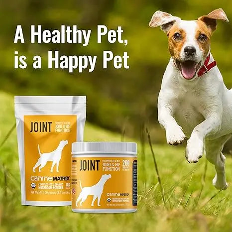 Canine Matrix All - Natural 200g Joint Supplement for Dogs and Cats