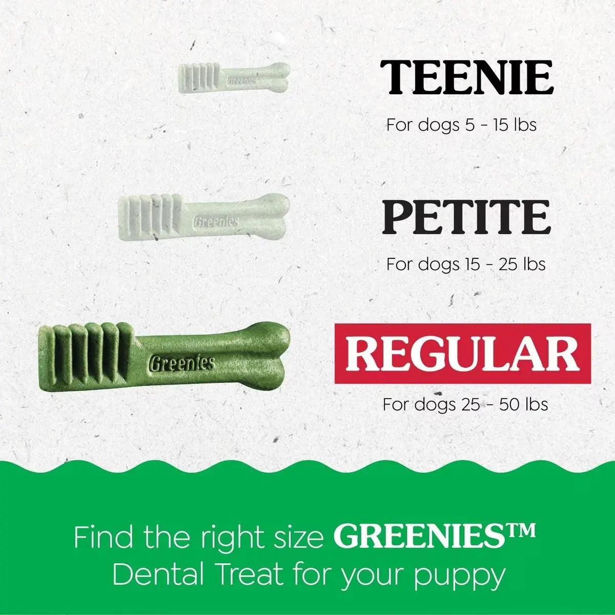 Delicious Greenies Dental Treats Specially Designed for Puppies Aged 6 Months and Above