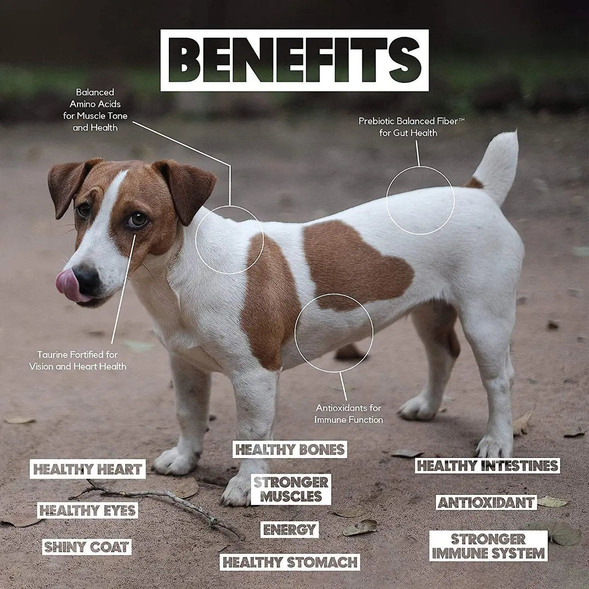 Lucy Pet's Life Formula L.I.D. Dry Dog Food: Chicken, Brown Rice & Pumpkin for Small Breeds