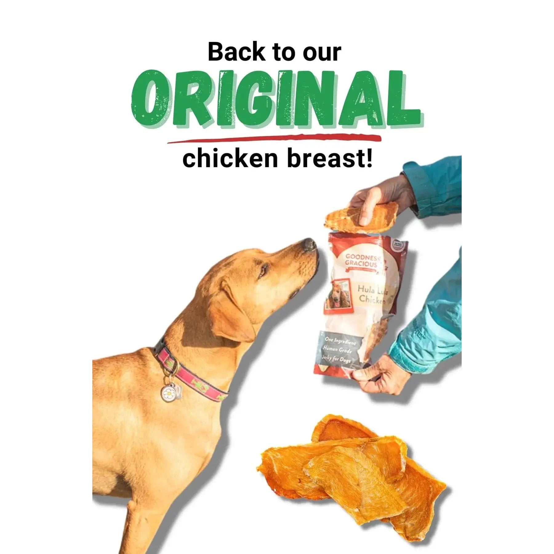 Goodness Gracious 5oz Hula Lula Human - Grade Chicken Jerky for Canines