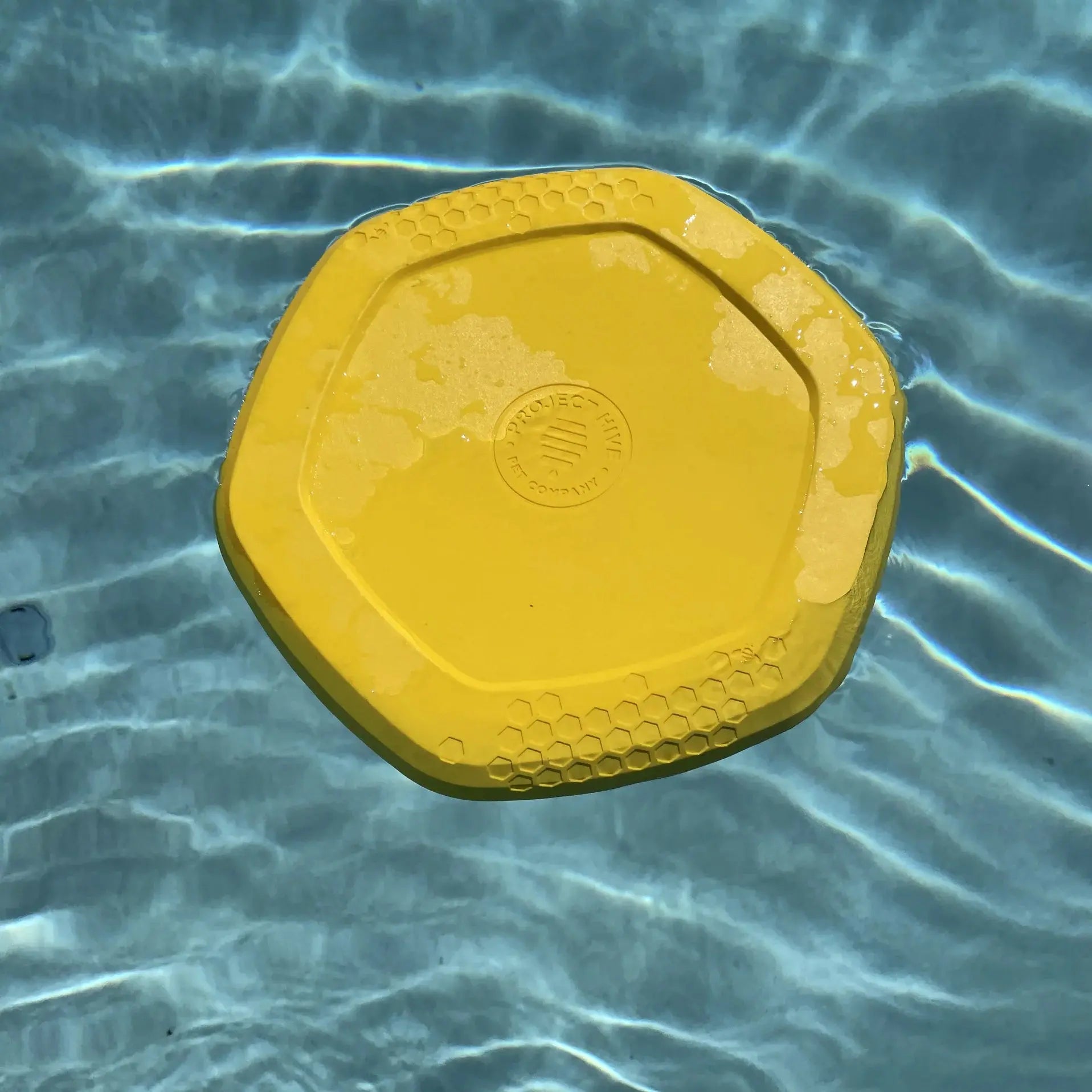 Project Hive Pet Company's Innovative Hive Dog Disc Lick Pad - A Versatile and Safe Dog Toy