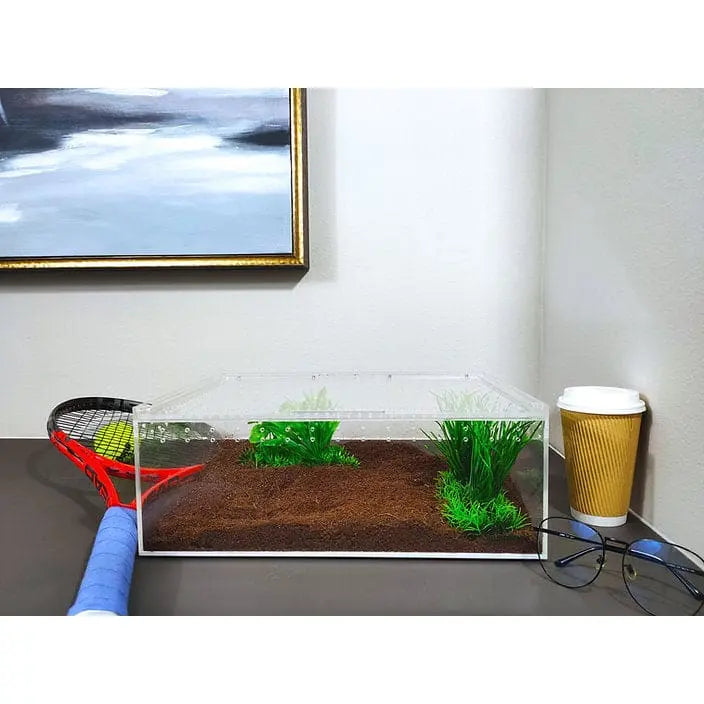 Extra Large Flat and Transparent Acrylic Enclosure for Reptile Breeding - Ideal Terrarium Cage Tank