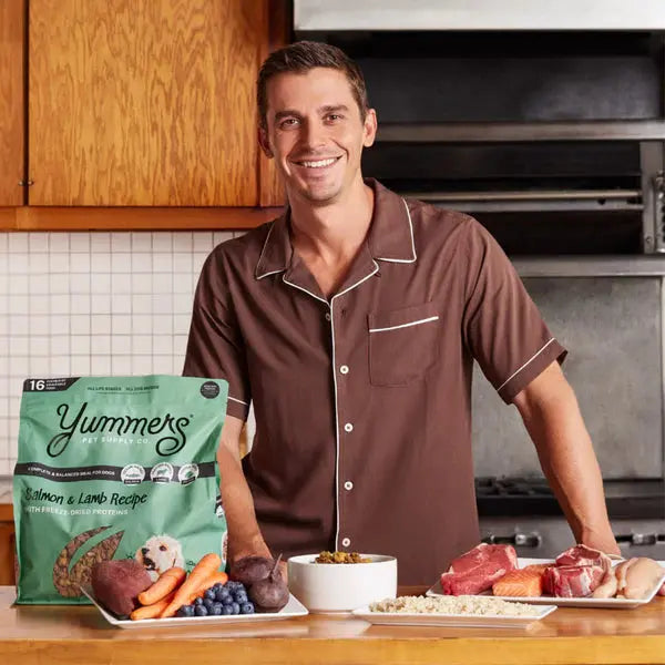 Delicious Yummers Dog Food: Salmon & Lamb Recipe with Freeze - Dried Proteins
