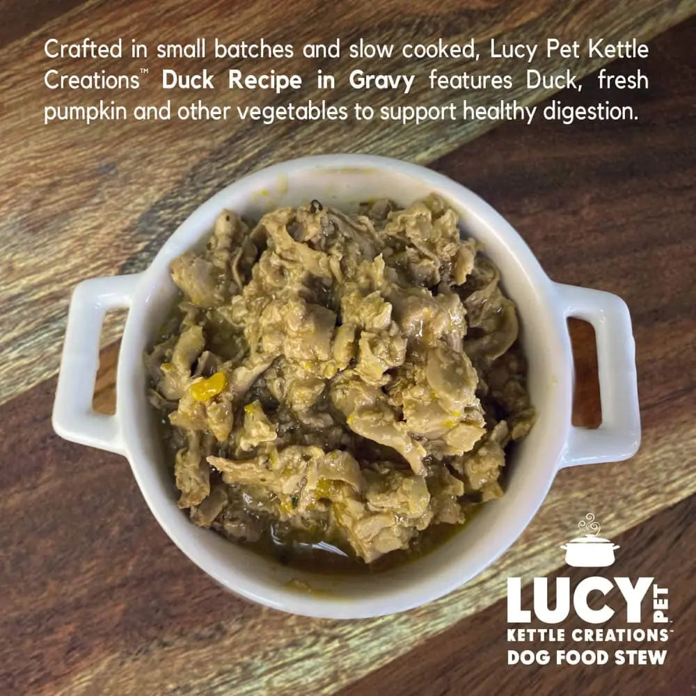 Lucy Pet Products Kettle Creations Recipe in Delicious Gravy Wet Dog Food Pack of 12 Cans, Each 12.5 Ounces