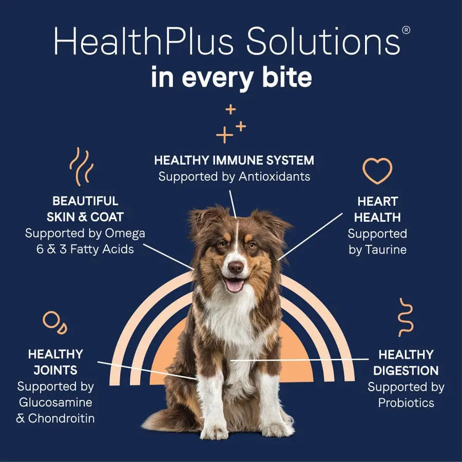 CANIDAE PURE Dry Dog Food: Real Salmon & Barley with Wholesome Grains