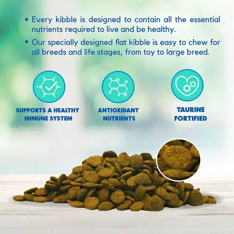 Lucy Pet Products High - Quality Vegetarian Formula Dry Dog Food for Optimal Canine Health