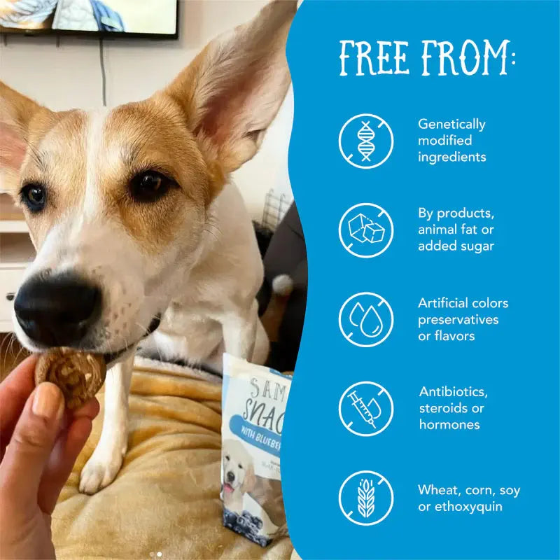 Health Extension Sammy Snacks - Premium Blueberries Flavored All - Natural Dog Treats, 8 - ounce Package