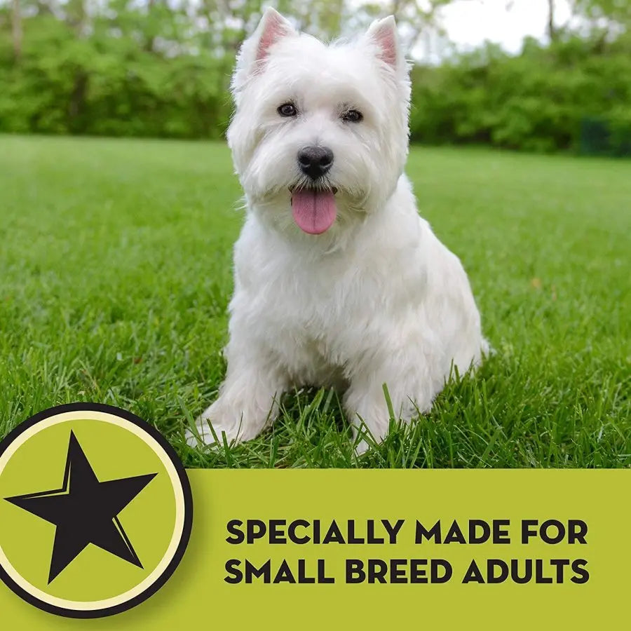 AvoDerm Natural Premium Dry Dog Food for Small Breeds with Chicken Meal and Brown Rice