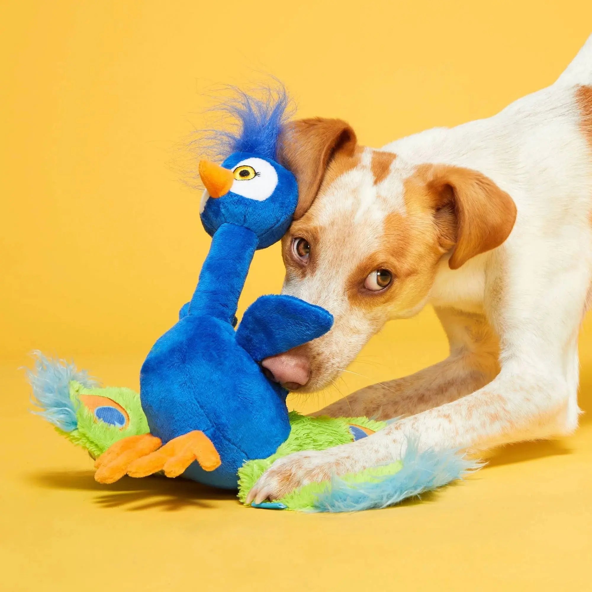 Exclusive BARK Pop Peacock Interactive Dog Toy for Playful Pups