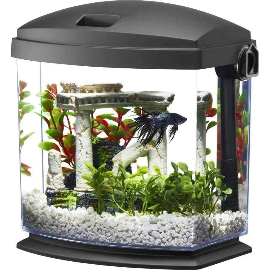 Aqueon Black Betta Aquarium Kit with Innovative Quick Clean Technology