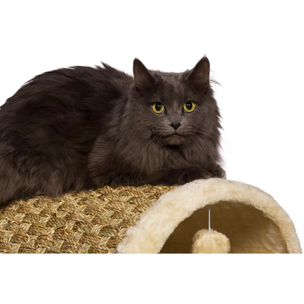 Prevue Pet Products Soft and Cozy Plush Kitty Power Paws Interactive Play Tunnel for Cats and Kittens