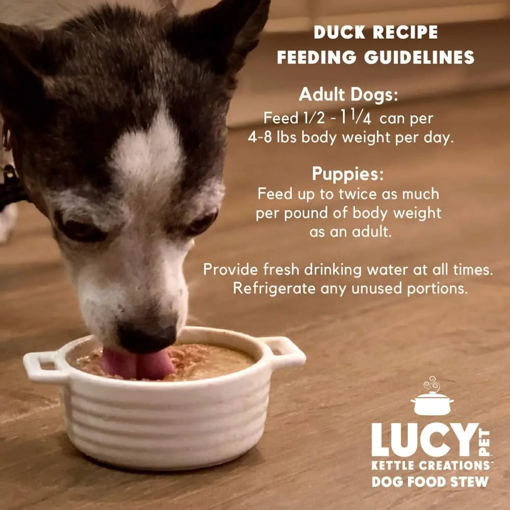 Lucy Pet Products Kettle Creations Recipe in Delicious Gravy Wet Dog Food Pack of 12 Cans, Each 12.5 Ounces