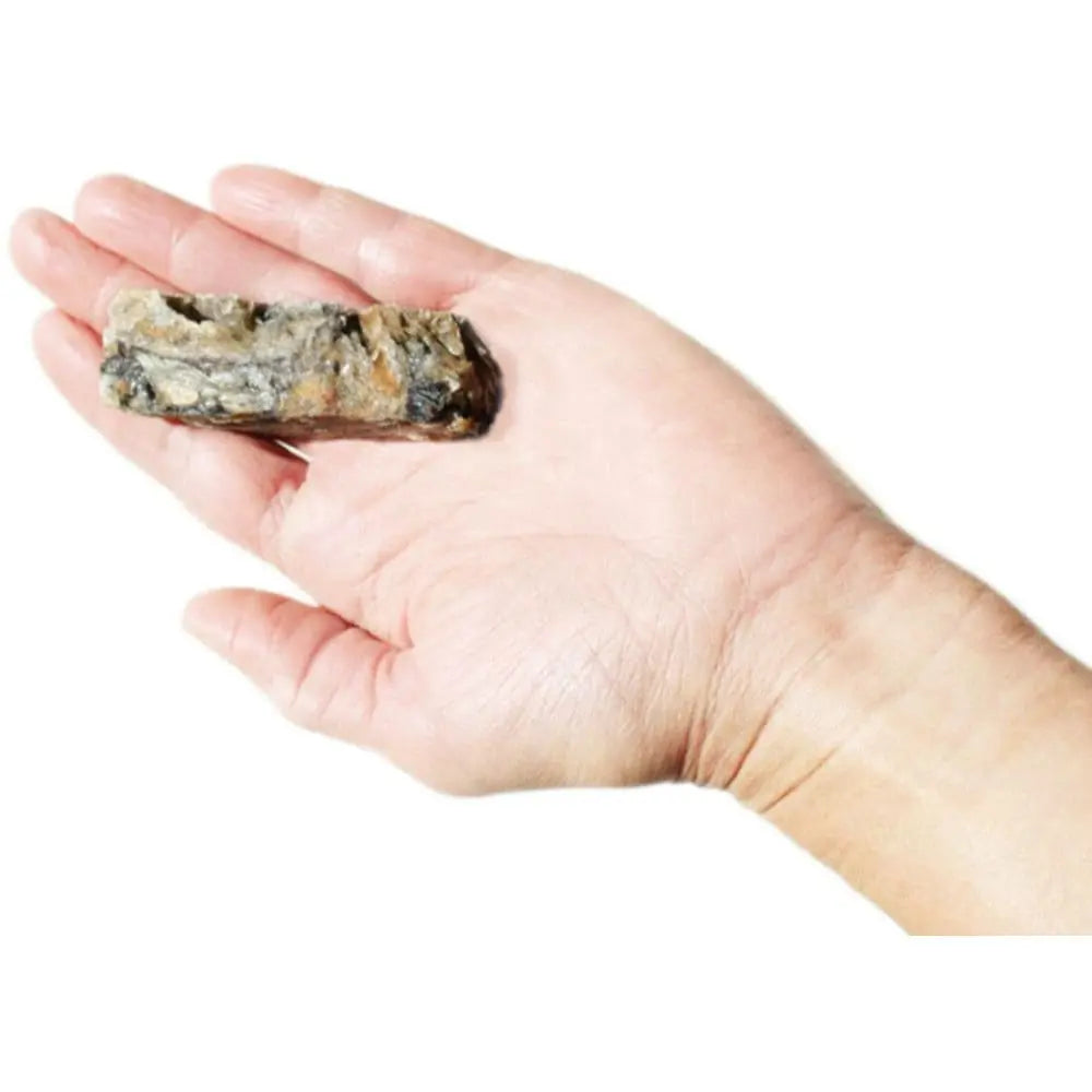 Plato Hundur's Omega - Rich Crunchy Fish Skin Jerky Fingers