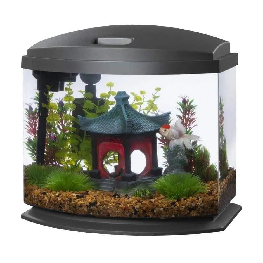 Aqueon Brand LED MiniBow™ Desktop Fish Aquarium Kit Featuring SmartClean™ Advanced Water - Changing Technology