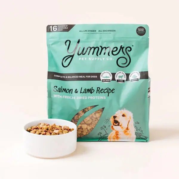Delicious Yummers Dog Food: Salmon & Lamb Recipe with Freeze - Dried Proteins