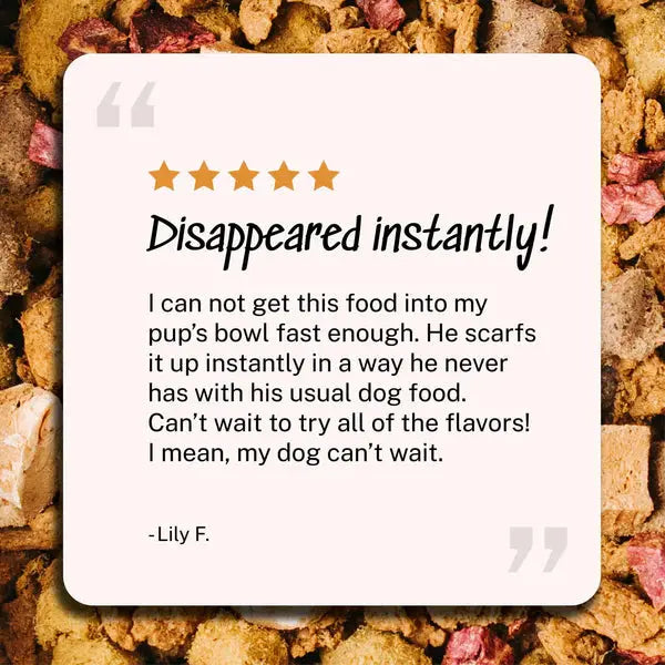 Delicious Yummers Dog Food: Salmon & Lamb Recipe with Freeze - Dried Proteins