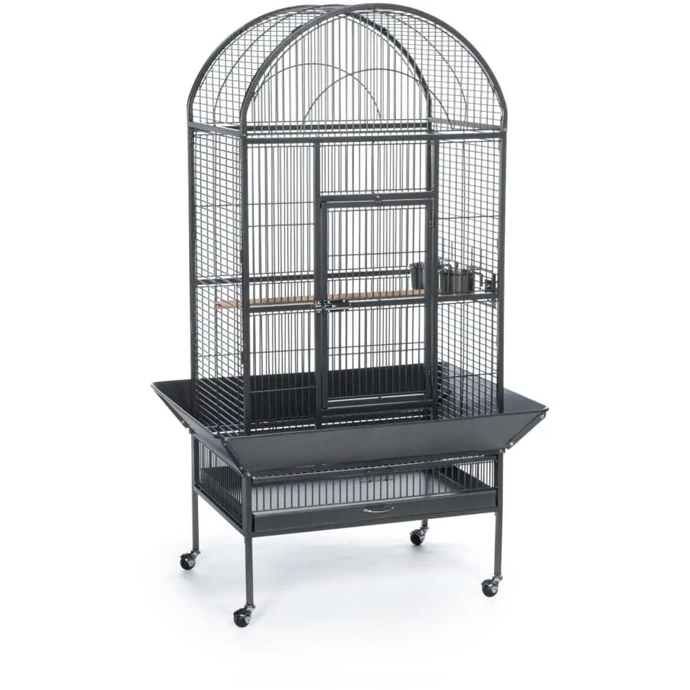 Prevue Pet Products Black Large Dome Top Bird Cage