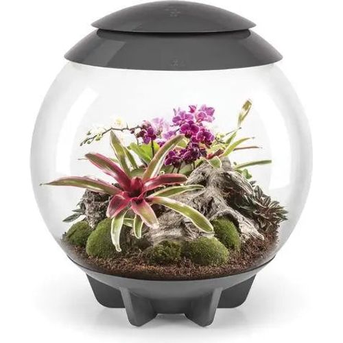 BiOrb AIR 60 Modern Glossy Terrarium for Tropical Plants and Creatures