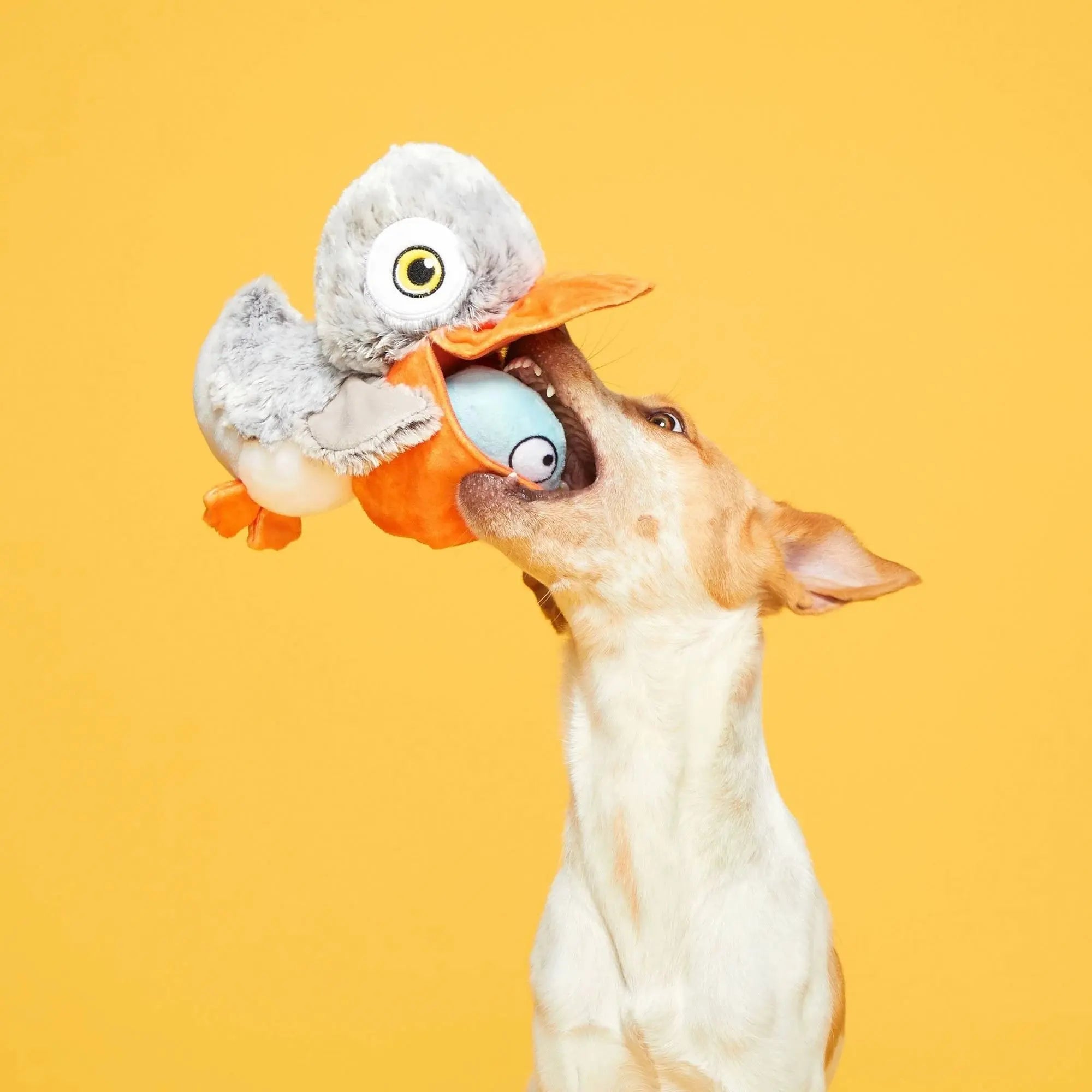 BARK Interactive Big Bill Pelican & Beak-A-Boo Fish Dual Dog Toy