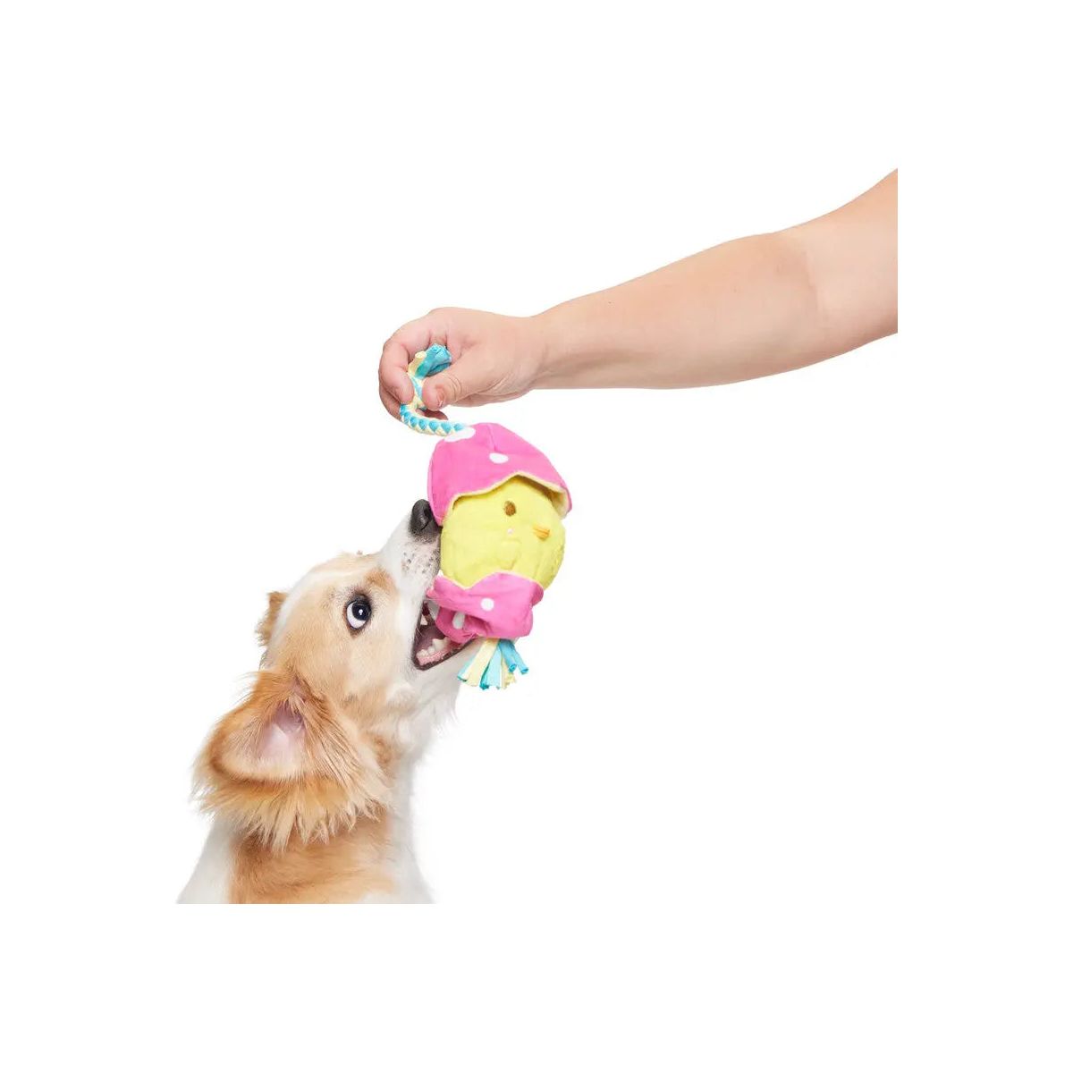 BARK Easter-themed Plush Peep-A-Bird Rope Dog Toy for Small to Medium Dogs