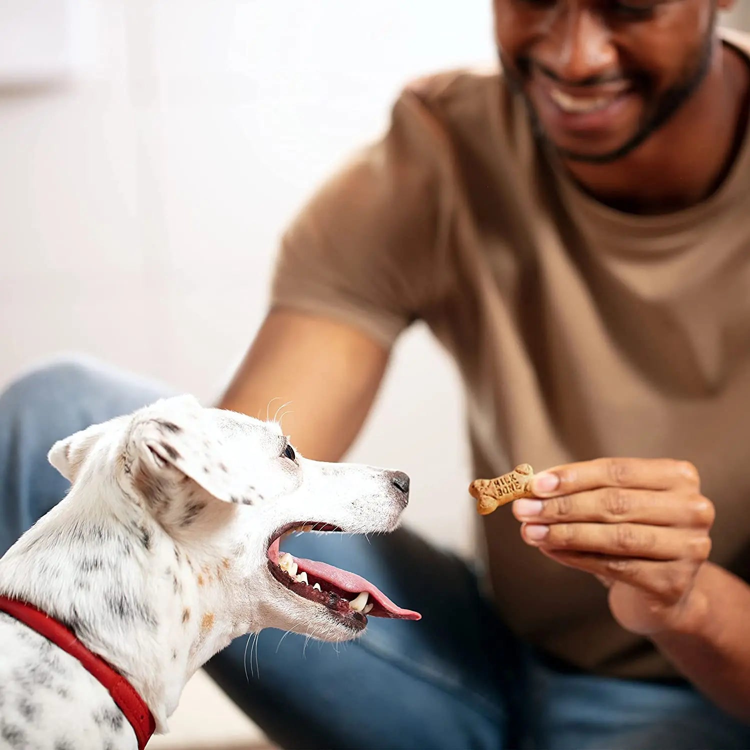Milk-Bone Mini Flavor Snacks for Dogs - Small-Sized Dog Treats, 36 Ounce Pack