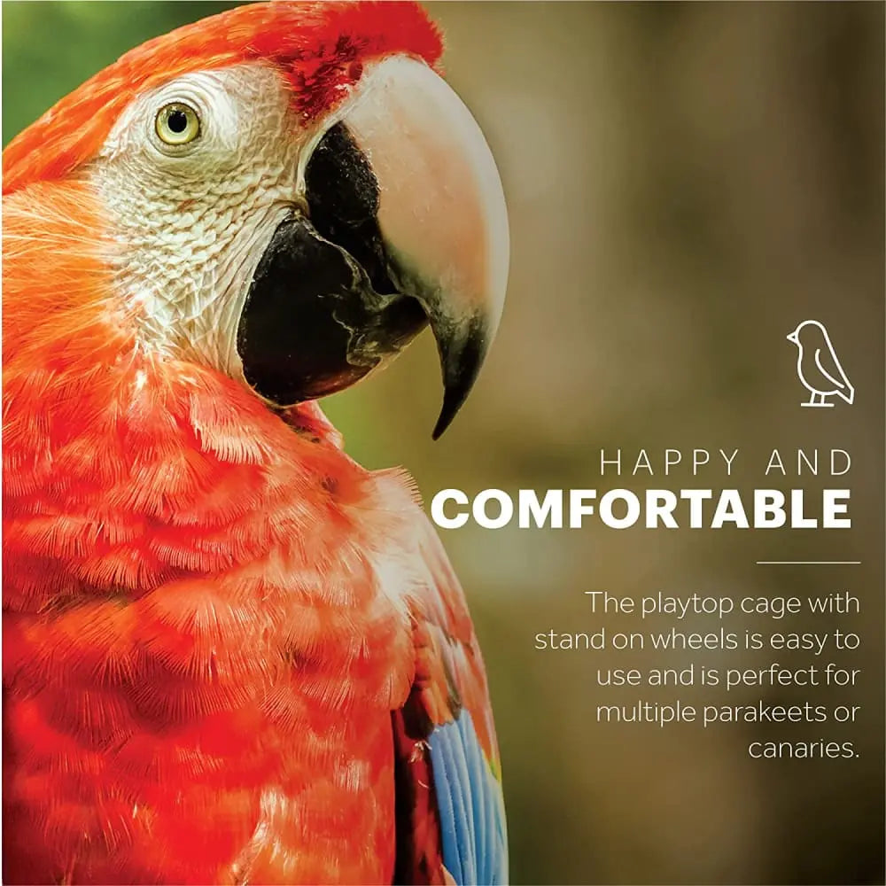 Prevue Pet Products Premium Large-Scale Stainless Steel Bird Cage with Play Top