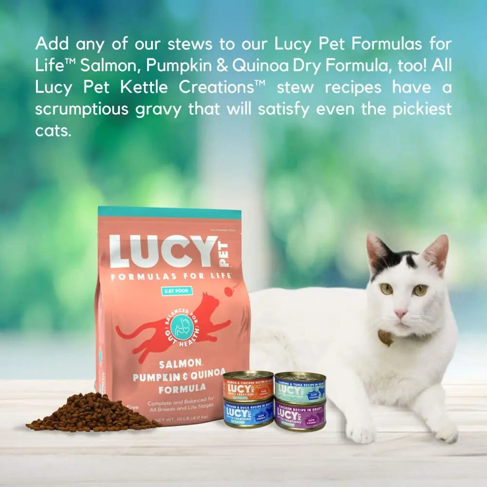 Lucy Pet Products Kettle Creations Gourmet Adult Wet Cat Food Pack of 12 Cans, Each 2.75 Ounces
