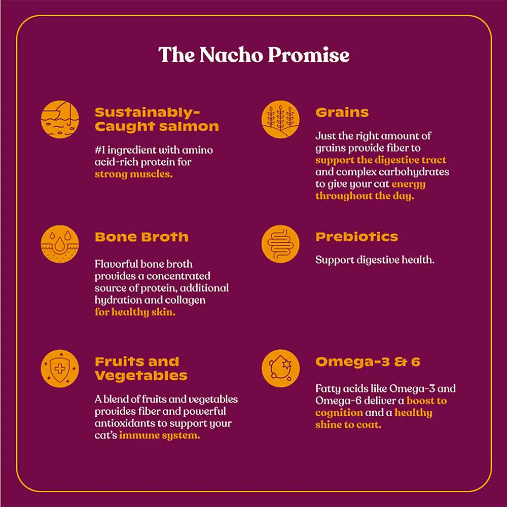 Made By Nacho High - Quality Sustainably - Caught Salmon Wet Cat Food with Bone Broth and Prebiotics, Pack of 10, 2.5 oz Each
