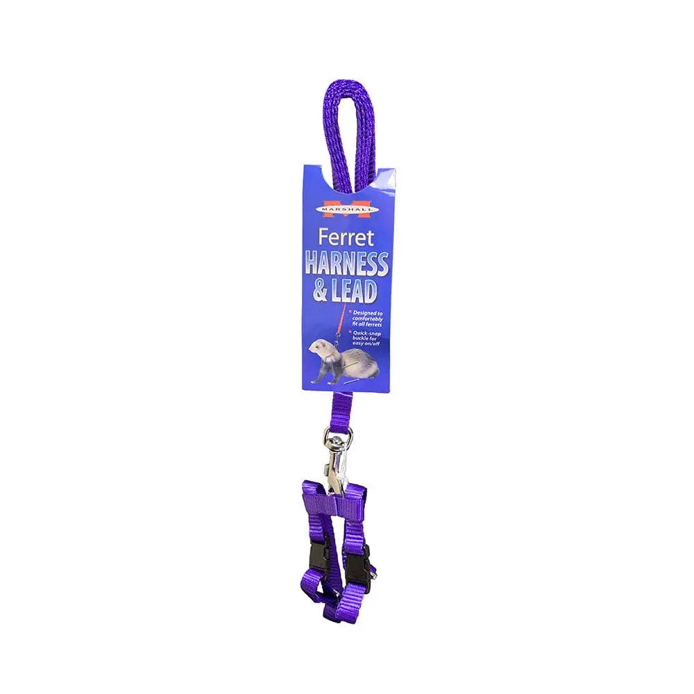Marshall Brand Purple Ferret Harness and Lead Set - An Ideal Walking Gear for Your Furry Friends