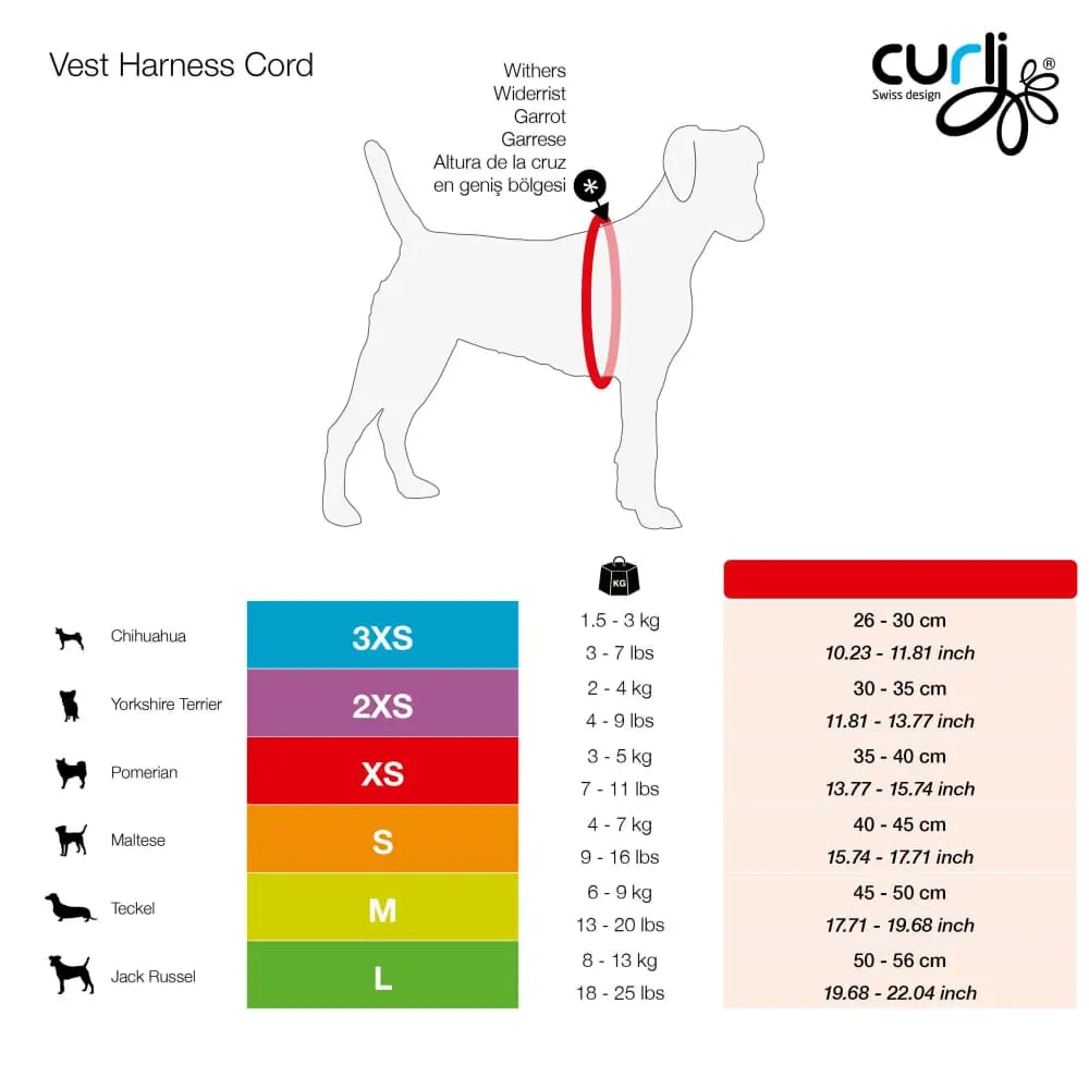 Lightweight Step-in Dog Harness with Air-Mesh Lining and Resistant Cord for Small Canines