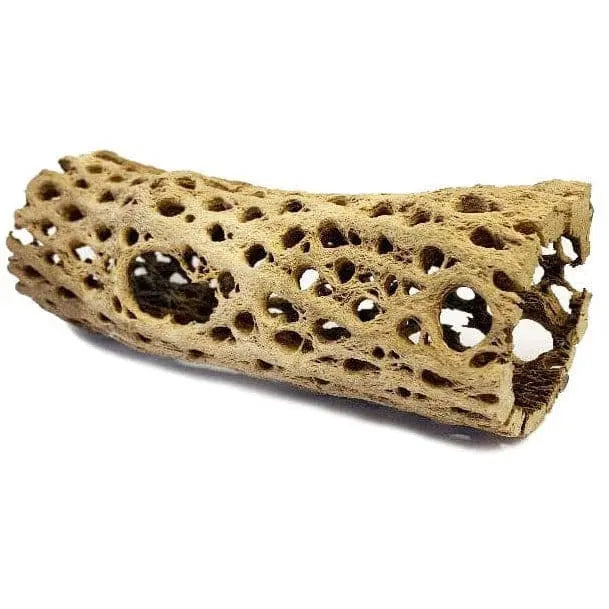 Lugarti's Premium Sandblasted and Heat - Treated Cholla Cactus Wood