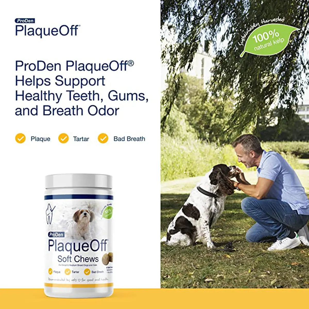 ProDen PlaqueOff Soft Chews for Small and Medium Breed Dogs - A Natural Oral Care Solution