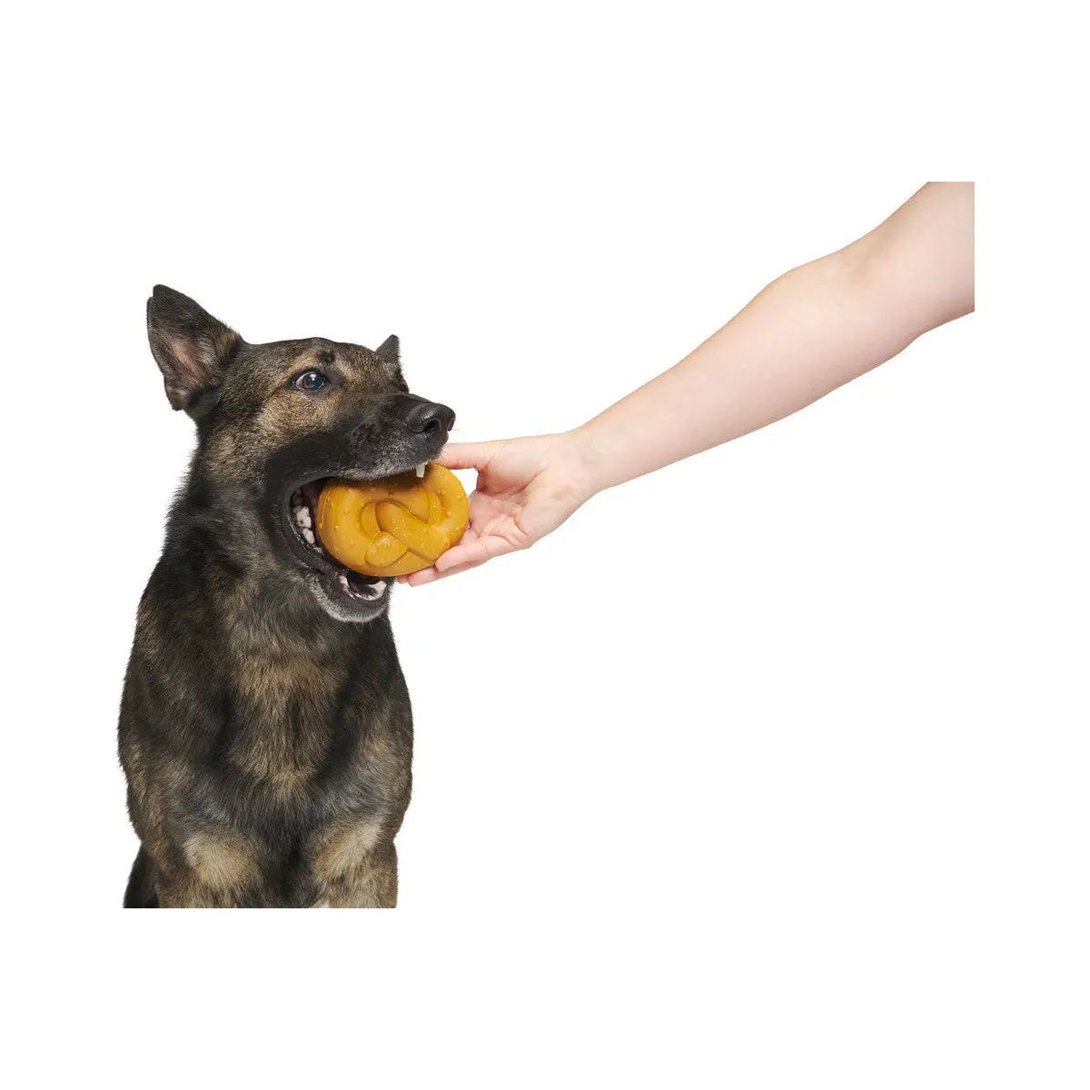 BARK Cheesy-Scented Barkvarian Pretzel-Style Interactive Dog Fetch Toys