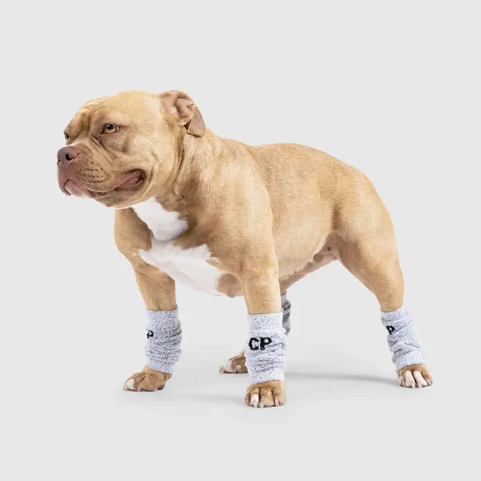 Canada Pooch Fashionable Knit Dog Leg Warmers - Snowy Fox Style for Winter Coziness