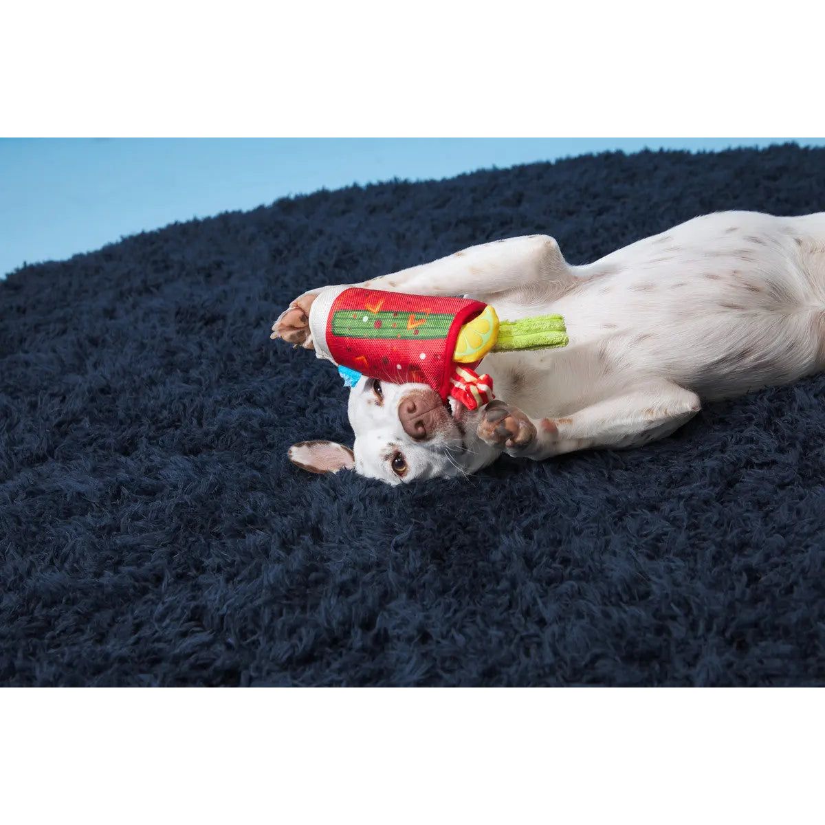 BARK Squeaky Bloody Mary Style Dog Toy for Energetic Pups