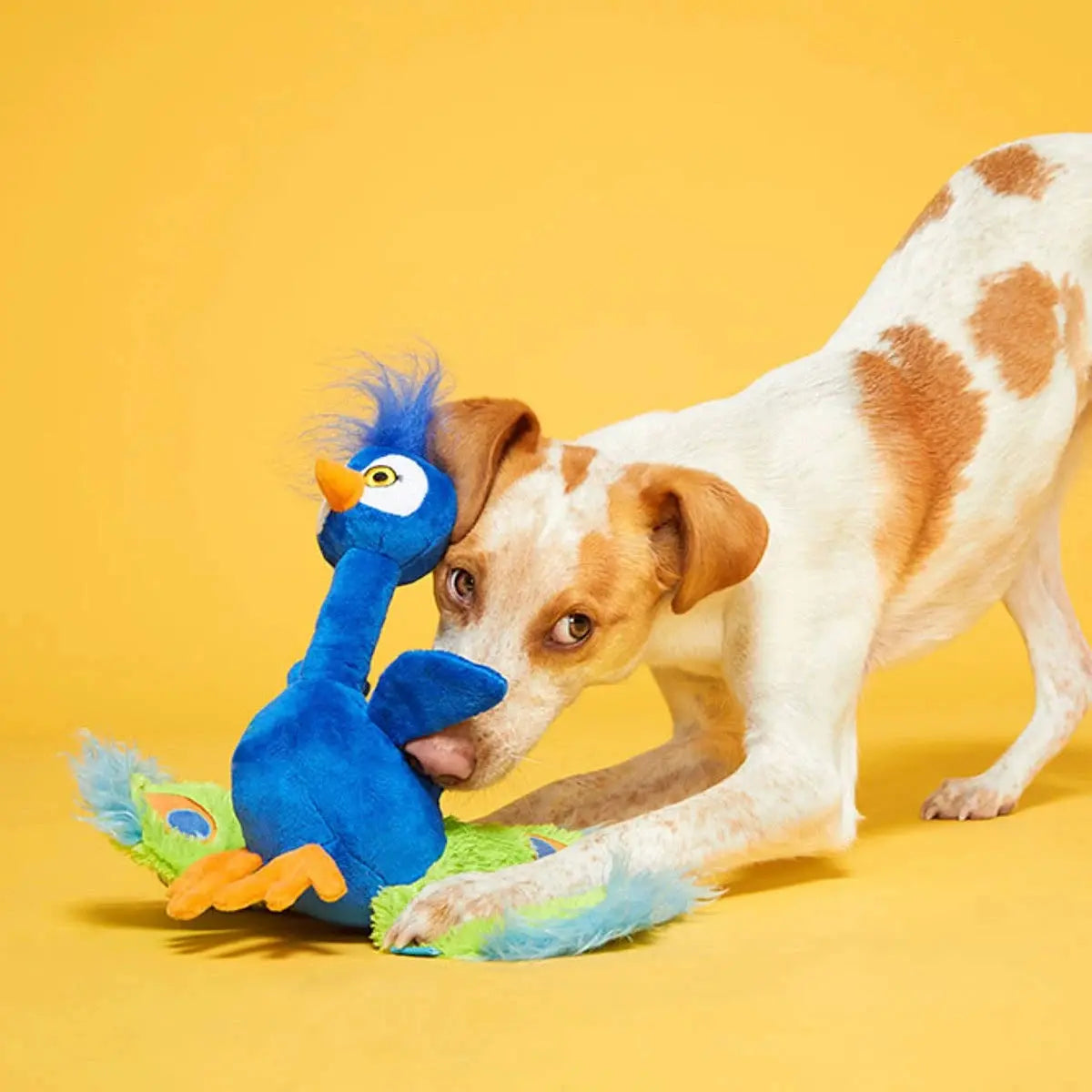 Exclusive BARK Pop Peacock Interactive Dog Toy for Playful Pups