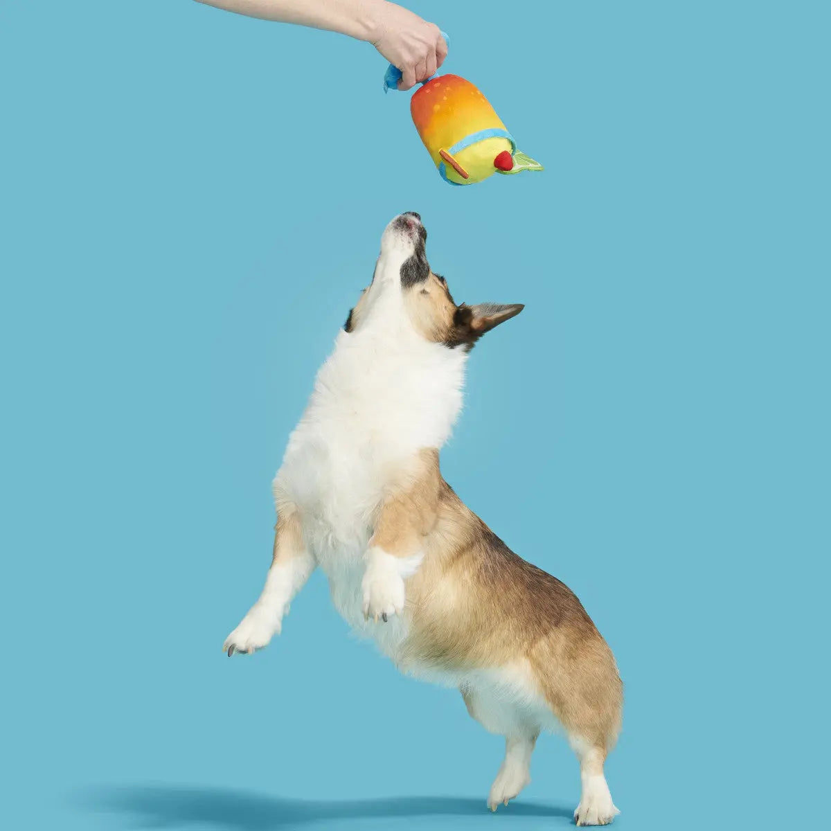 BARK Tropical Themed Plush Mai Tail Dog Toy for Canine Entertainment