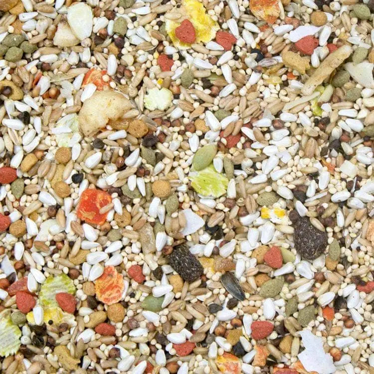 Higgins Safflower Gold Premium Natural Food Mix Ideal for Conures and Cockatiels - A Nutritious Avian Diet