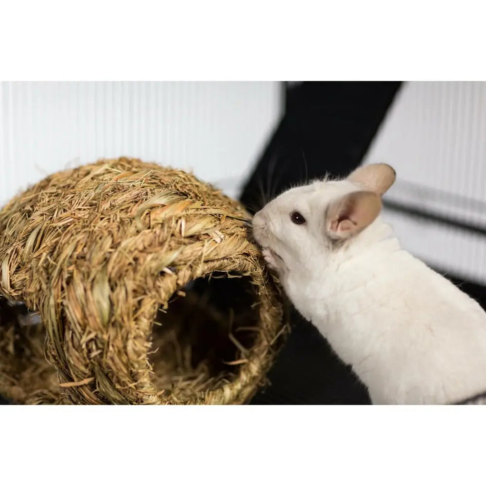 Prevue Pet Products Medium-Sized Natural Grass Activity Ball for Small Animals