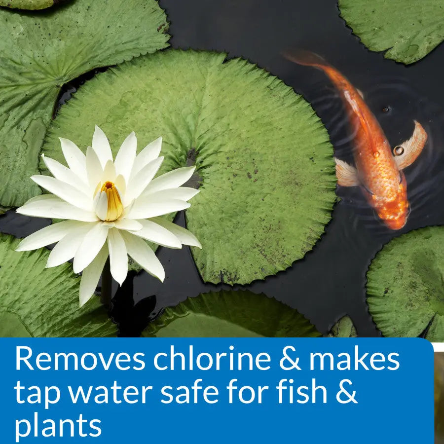 API 16 Fl. oz Super - Effective Pond Chlorine and Heavy Metal Neutralizer