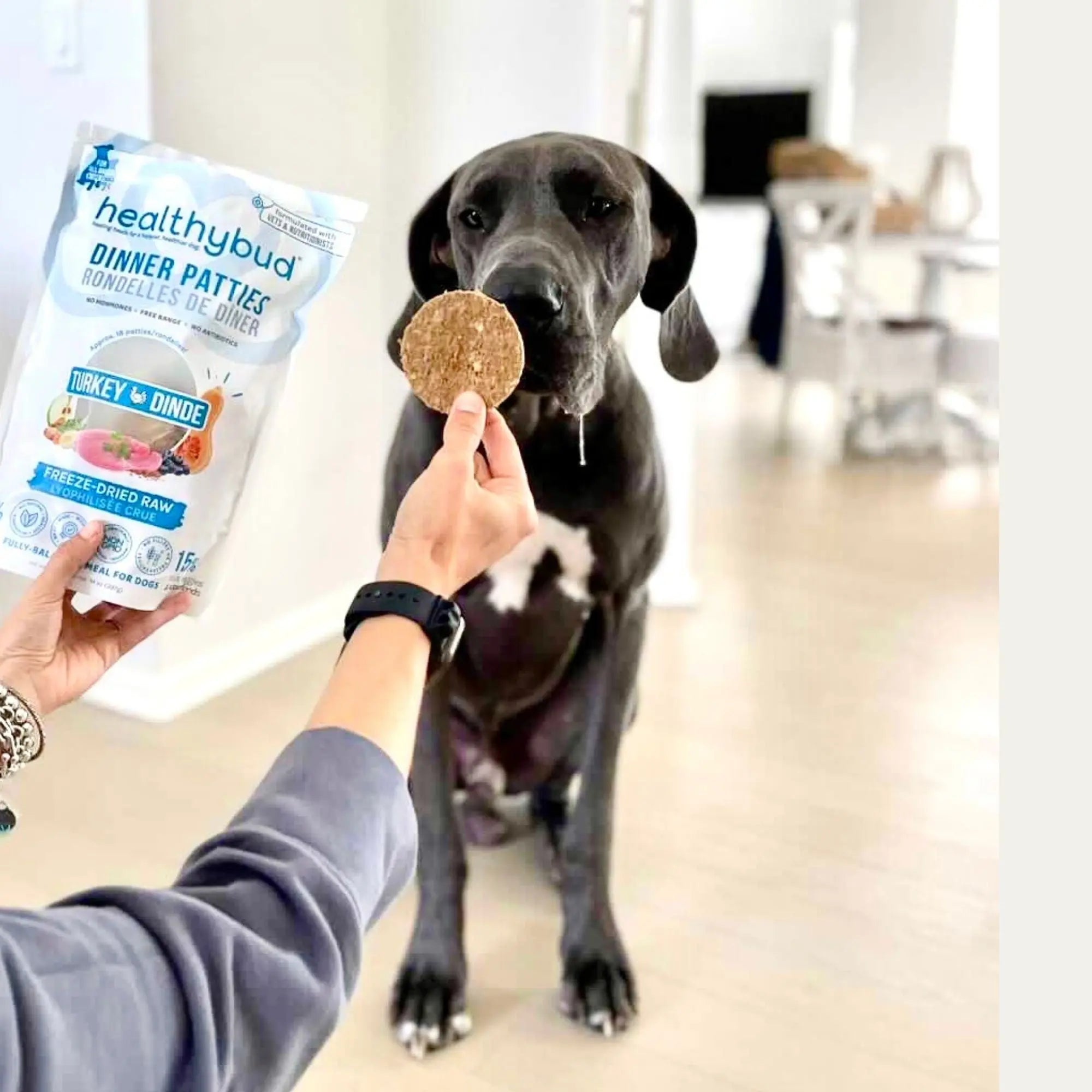 Healthybud 14 oz Freeze - Dried Turkey Patties Premium Dog Food