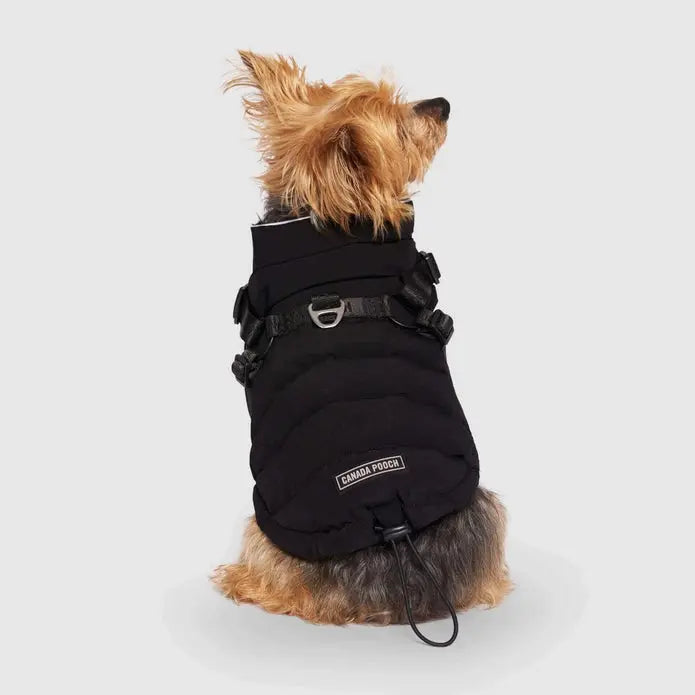 Canada Pooch Premium Dog Winter Puffer Jacket with Integrated Harness